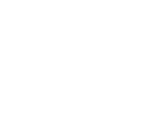 PLM